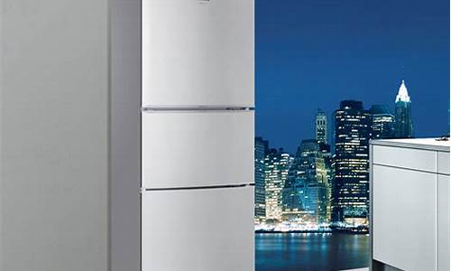西门子电冰箱怎样_西门子电冰箱怎样调节温
